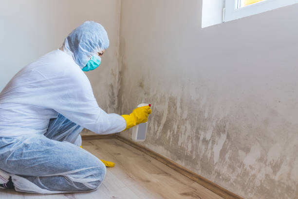 Mold inspector in Lawrence performing thermal imaging